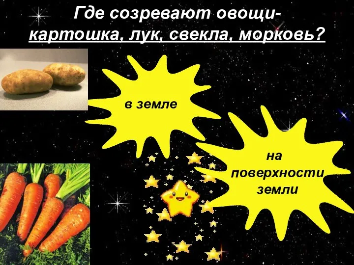Где созревают овощи- картошка, лук, свекла, морковь? в земле на поверхности земли