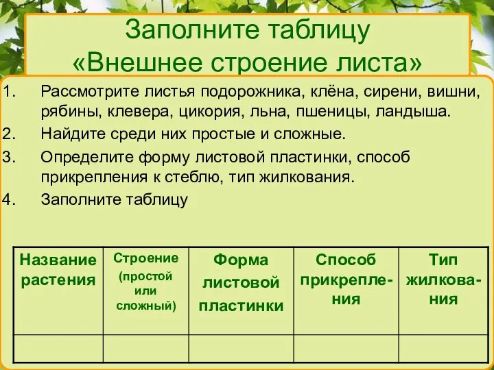 Заполните таблицу «Внешнее строение листа» Рассмотрите листья подорожника, клёна, сирени, вишни, рябины,