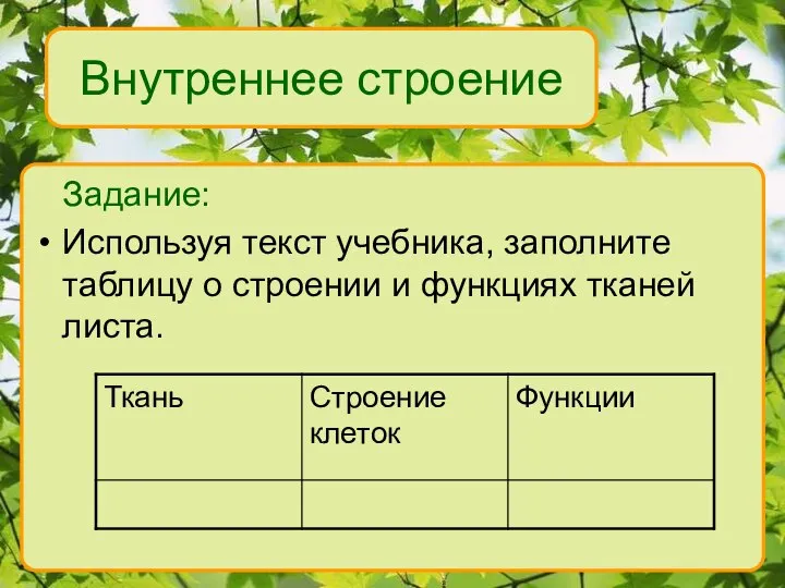 Внутреннее строение Задание: Используя текст учебника, заполните таблицу о строении и функциях тканей листа.