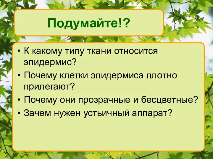 Подумайте!? К какому типу ткани относится эпидермис? Почему клетки эпидермиса плотно прилегают?