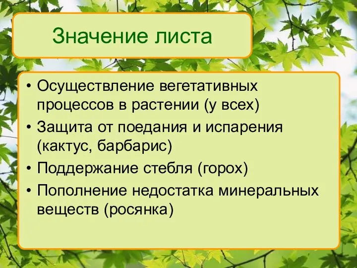 Значение листа Осуществление вегетативных процессов в растении (у всех) Защита от поедания