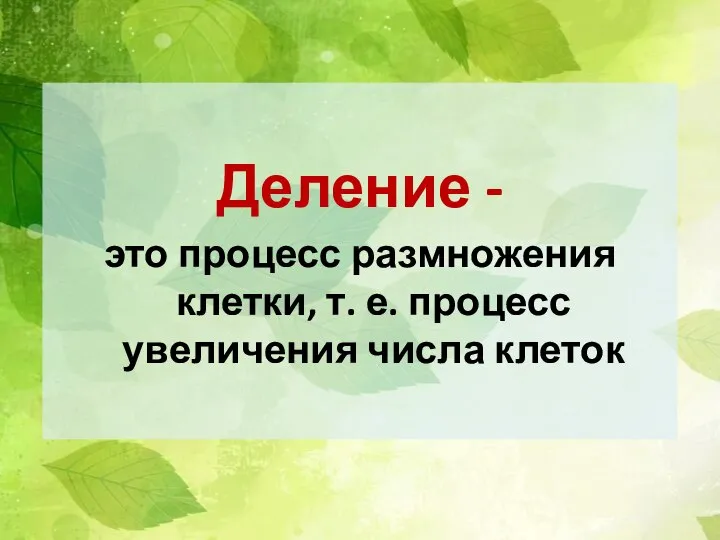 Деление - это процесс размножения клетки, т. е. процесс увеличения числа клеток