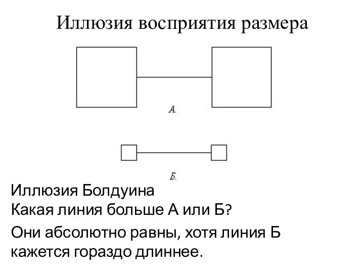 Иллюзия восприятия размера Иллюзия Болдуина Какая линия больше А или Б? Они