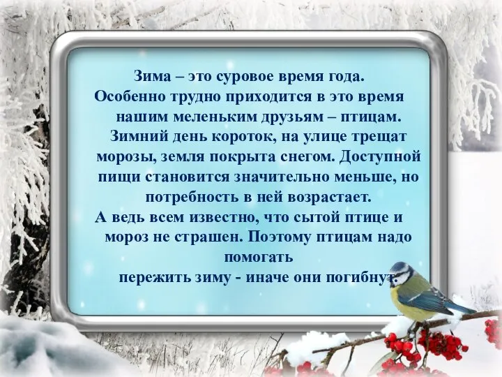 Зима – это суровое время года. Особенно трудно приходится в это время