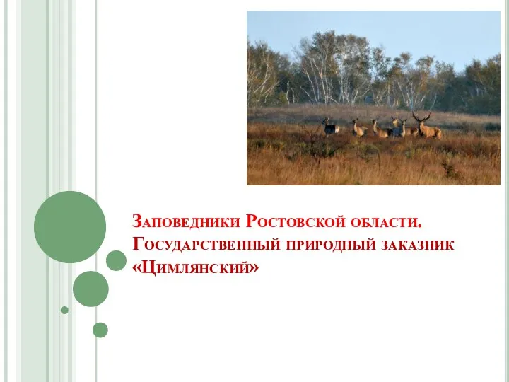 Заповедники Ростовской области. Государственный природный заказник «Цимлянский»