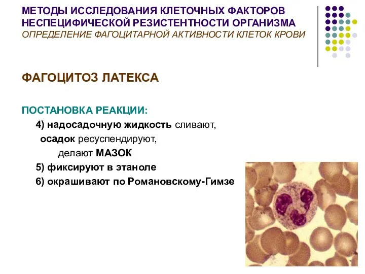 МЕТОДЫ ИССЛЕДОВАНИЯ КЛЕТОЧНЫХ ФАКТОРОВ НЕСПЕЦИФИЧЕСКОЙ РЕЗИСТЕНТНОСТИ ОРГАНИЗМА ОПРЕДЕЛЕНИЕ ФАГОЦИТАРНОЙ АКТИВНОСТИ КЛЕТОК КРОВИ