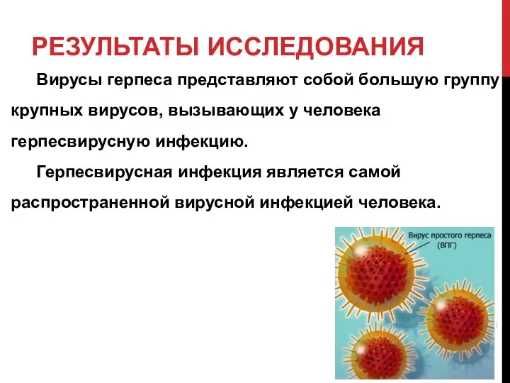 РЕЗУЛЬТАТЫ ИССЛЕДОВАНИЯ Вирусы герпеса представляют собой большую группу крупных вирусов, вызывающих у