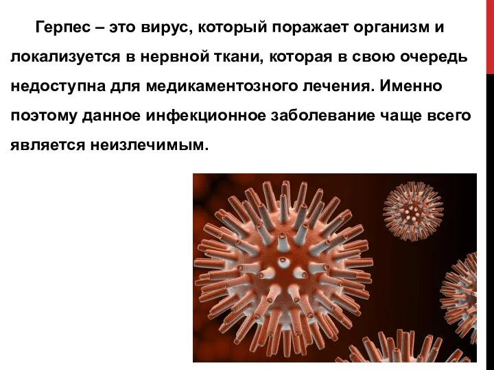 Герпес – это вирус, который поражает организм и локализуется в нервной ткани,