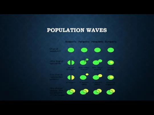 POPULATION WAVES