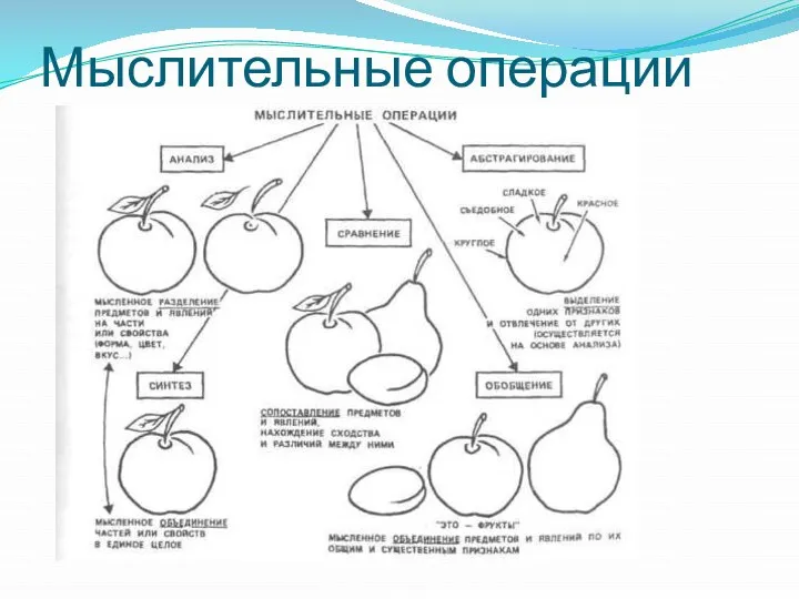 Мыслительные операции