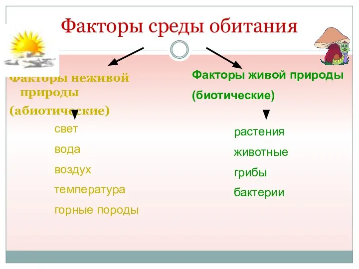 Факторы среды обитания Факторы неживой природы (абиотические) Факторы живой природы (биотические) свет