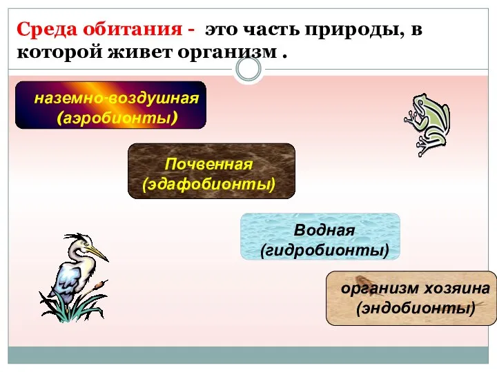 Среда обитания - это часть природы, в которой живет организм . наземно-воздушная