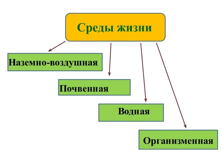 Среды жизни Наземно-воздушная Почвенная Водная Организменная