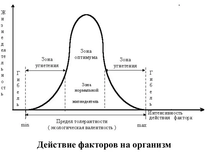 Действие факторов на организм