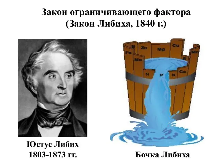 Закон ограничивающего фактора (Закон Либиха, 1840 г.) Юстус Либих 1803-1873 гг. Бочка Либиха