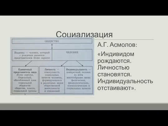 Социализация А.Г. Асмолов: «Индивидом рождаются. Личностью становятся. Индивидуальность отстаивают».