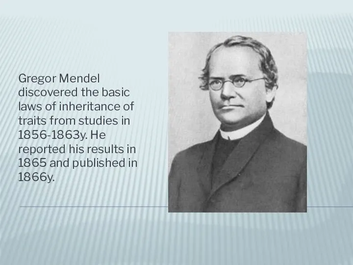 Gregor Mendel discovered the basic laws of inheritance of traits from studies