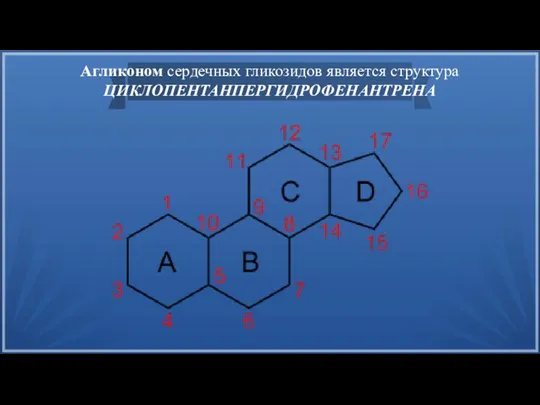 Агликоном сердечных гликозидов является структура ЦИКЛОПЕНТАНПЕРГИДРОФЕНАНТРЕНА