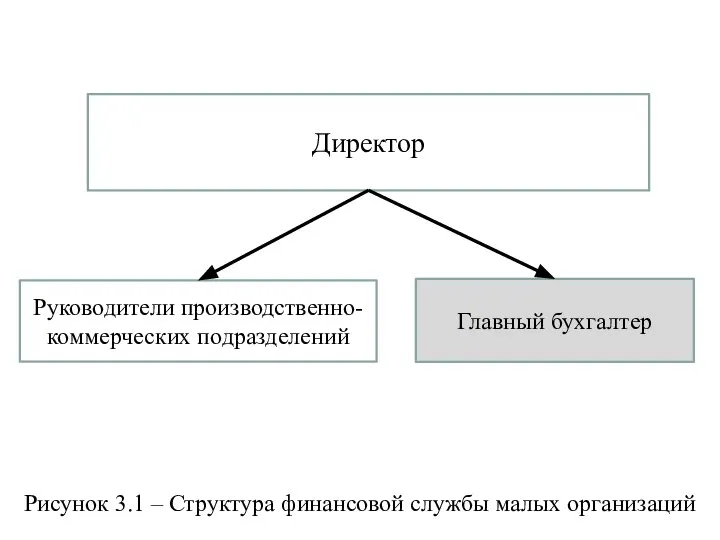 Руководители производственно-коммерческих подразделений Директор Главный бухгалтер Рисунок 3.1 – Структура финансовой службы малых организаций