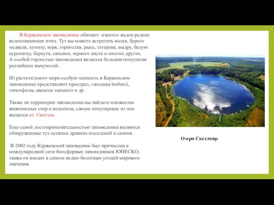 В Керженском заповеднике обитают многого видов редких водоплавающих птиц. Тут вы можете