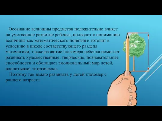 Осознание величины предметов положительно влияет на умственное развитие ребенка, подводит к пониманию