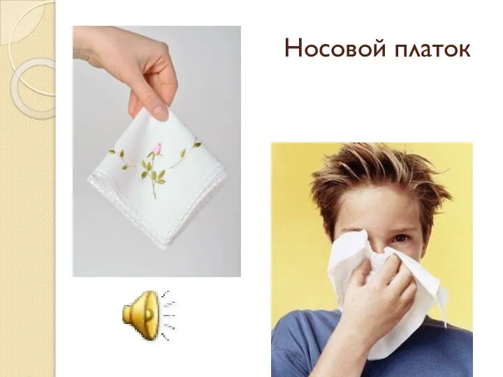 Носовой платок