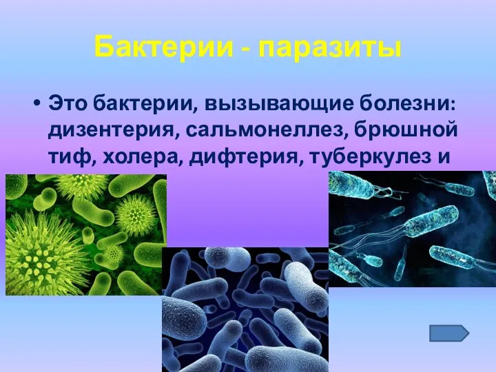 Бактерии - паразиты Это бактерии, вызывающие болезни: дизентерия, сальмонеллез, брюшной тиф, холера, дифтерия, туберкулез и другие.