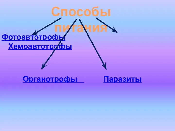 Фотоавтотрофы Хемоавтотрофы Органотрофы Паразиты Способы питания