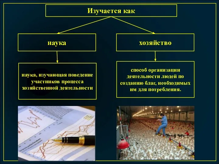 Изучается как наука хозяйство способ организации деятельности людей по созданию благ, необходимых