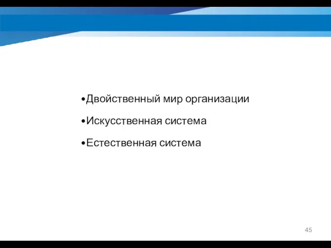 Двойственный мир организации Искусственная система Естественная система