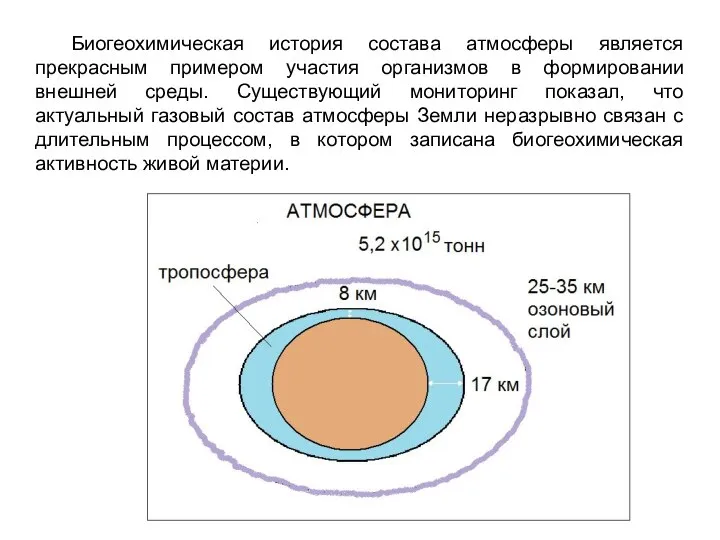 Биогеохимическая история состава атмосферы является прекрасным примером участия организмов в формировании внешней