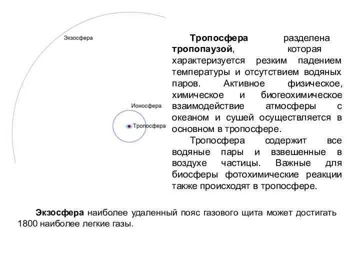 Тропосфера разделена тропопаузой, которая характеризуется резким падением температуры и отсутствием водяных паров.