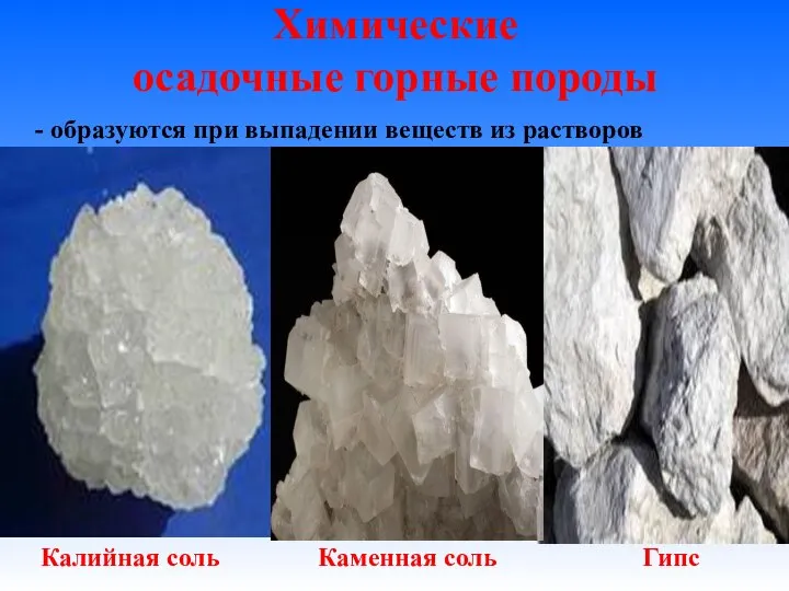 Химические осадочные горные породы Калийная соль Каменная соль Гипс - образуются при выпадении веществ из растворов