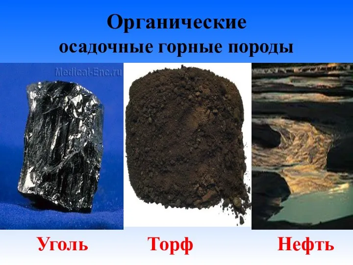 Органические осадочные горные породы Уголь Торф Нефть