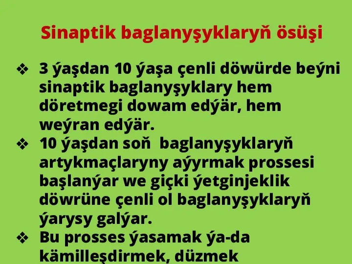 Sinaptik baglanyşyklaryň ösüşi 3 ýaşdan 10 ýaşa çenli döwürde beýni sinaptik baglanyşyklary