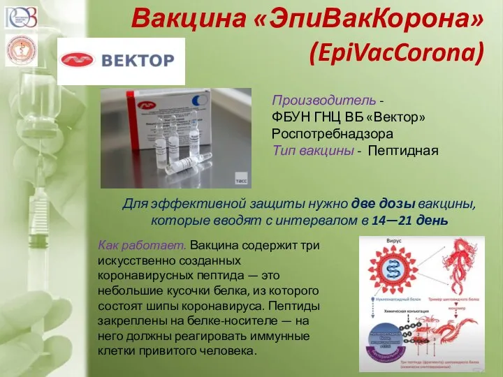 Вакцина «ЭпиВакКорона» (EpiVacCorona) Производитель - ФБУН ГНЦ ВБ «Вектор» Роспотребнадзора Тип вакцины