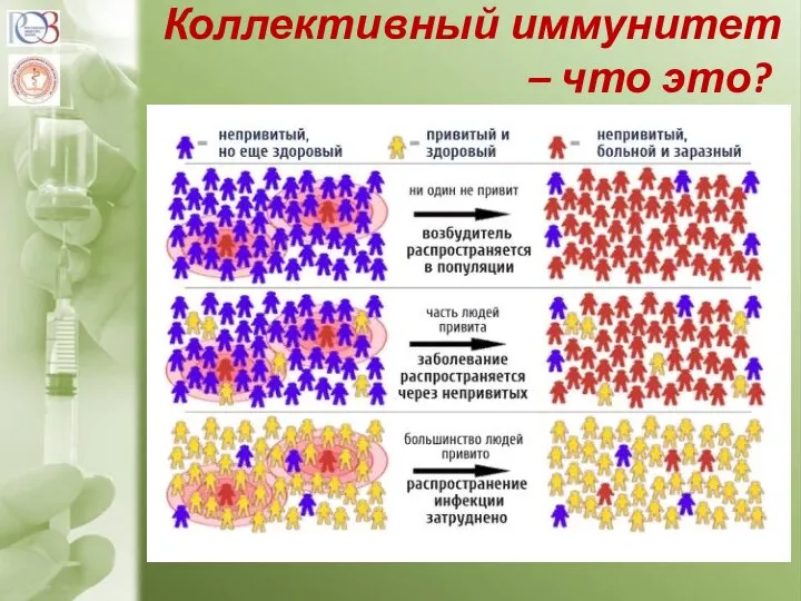 Коллективный иммунитет – что это?