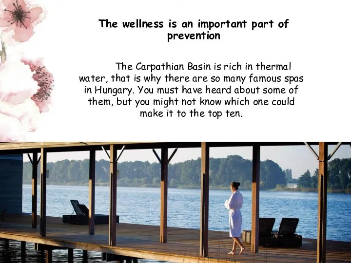 The wellness is an important part of prevention The Carpathian Basin is