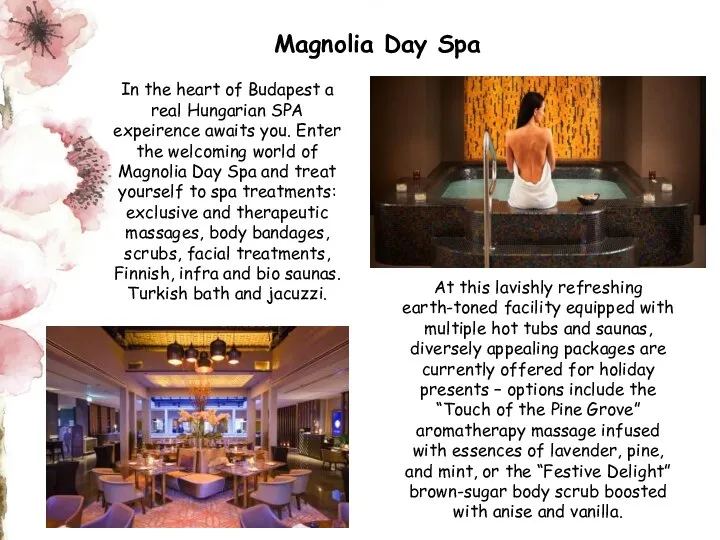 Magnolia Day Spa In the heart of Budapest a real Hungarian SPA