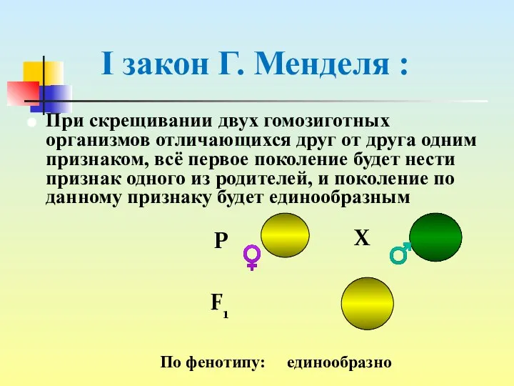 I закон Г. Менделя : При скрещивании двух гомозиготных организмов отличающихся друг