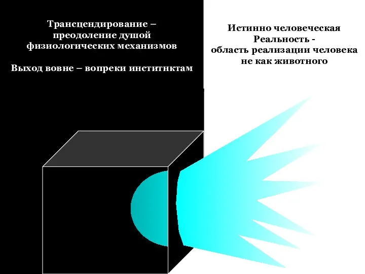 Трансцендирование – преодоление душой физиологических механизмов Выход вовне – вопреки инститнктам Истинно