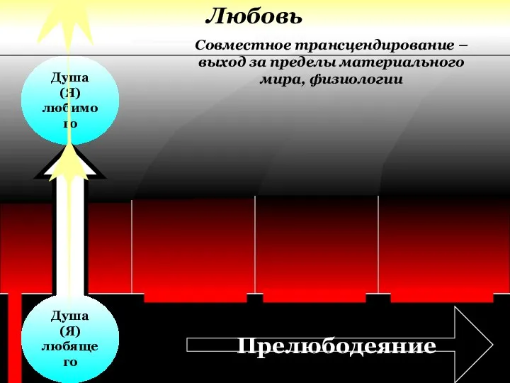 Любовь Душа (Я) любимого Душа (Я) любящего Прелюбодеяние Совместное трансцендирование – выход