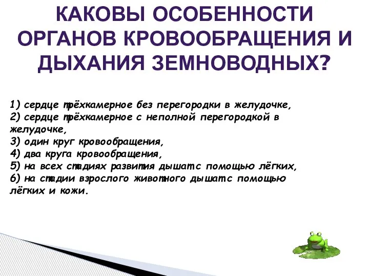 1) сердце трёхкамерное без перегородки в желудочке, 2) сердце трёхкамерное с неполной