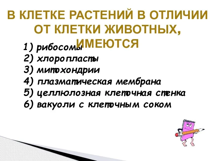 1) рибосомы 2) хлоропласты 3) митохондрии 4) плазматическая мембрана 5) целлюлозная клеточная