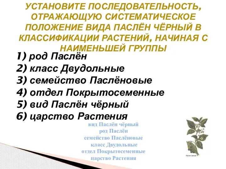 1) род Паслён 2) класс Двудольные 3) семейство Паслёновые 4) отдел Покрытосеменные