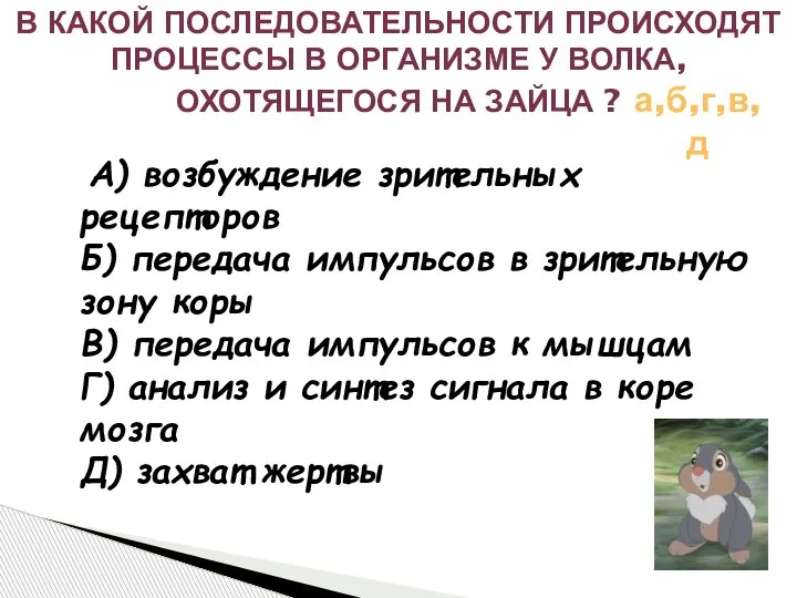 А) возбуждение зрительных рецепторов Б) передача импульсов в зрительную зону коры В)