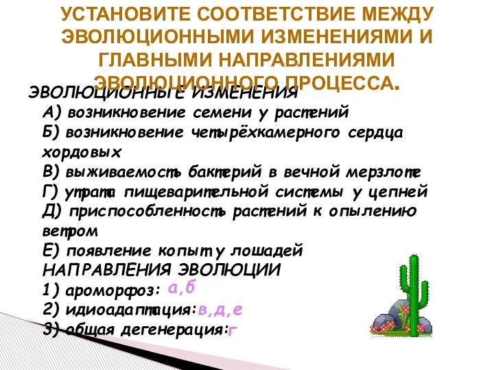 ЭВОЛЮЦИОННЫЕ ИЗМЕНЕНИЯ A) возникновение семени у растений Б) возникновение четырёхкамерного сердца хордовых