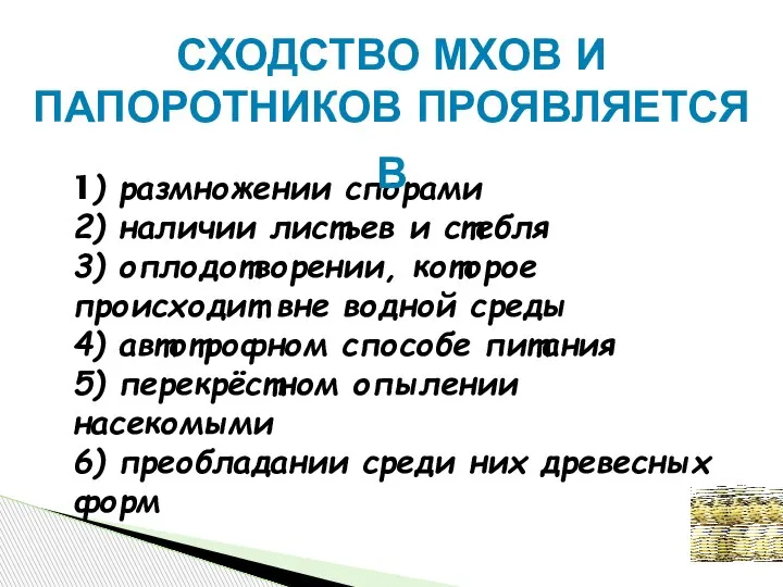 1) размножении спорами 2) наличии листьев и стебля 3) оплодотворении, которое происходит