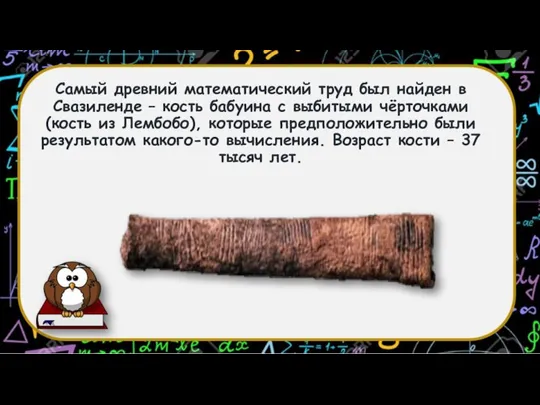 Самый древний математический труд был найден в Свазиленде – кость бабуина с