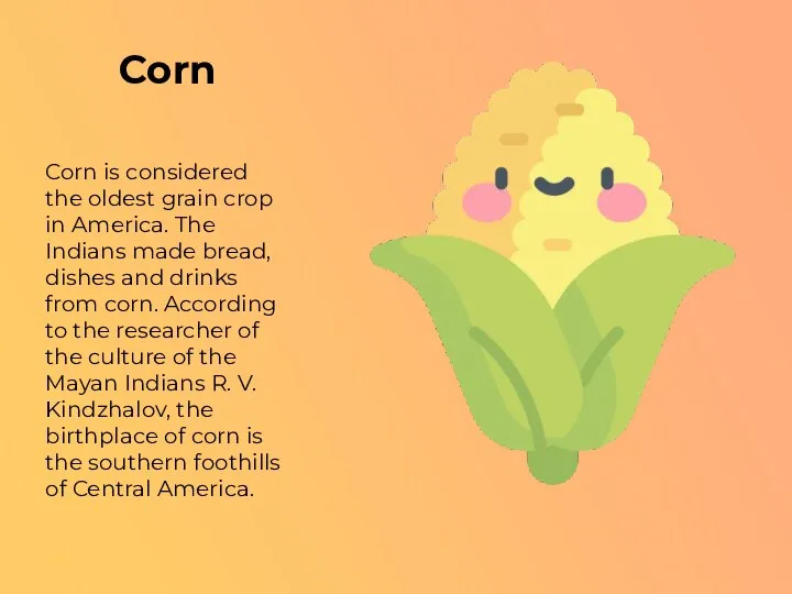 Corn Corn is considered the oldest grain crop in America. The Indians